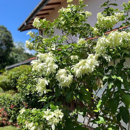 Garden Haven Hikkaduwa Βίλα Εξωτερικό φωτογραφία